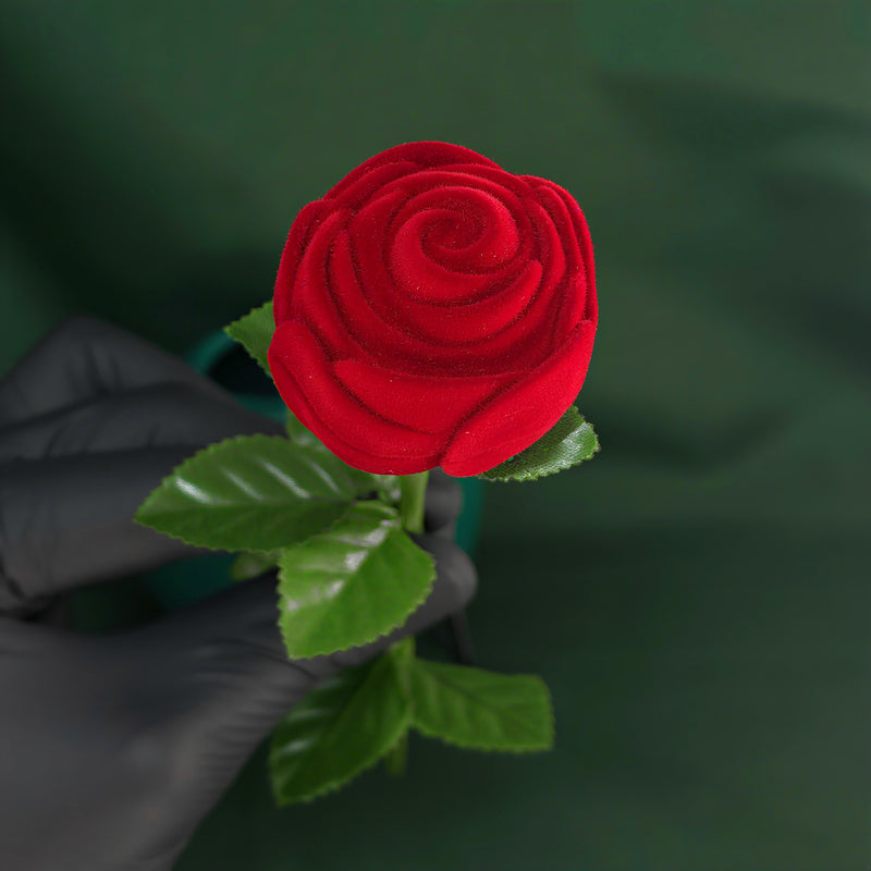 Alianças de Prata 950 2mm com Anel Solitário+ Caixinha de Rosa